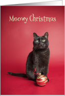 Meowy (Merry)...