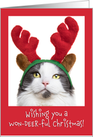 Merry Christmas For Anyone Funny Cat With Reindeer Antlers Humor card