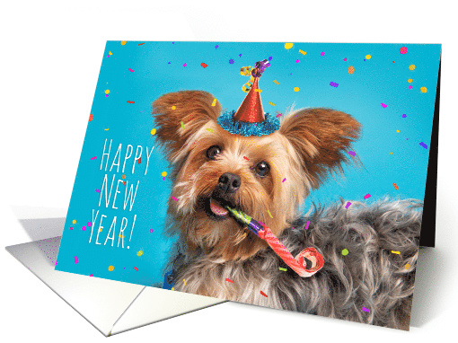 Happy New Year Cute Yorkie in Party Hat Humor card (1589420)