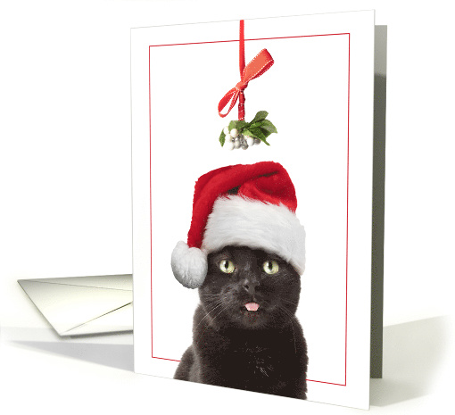 Merry Christmas Cat Under Mistletoe With Tongue Out Humor card
