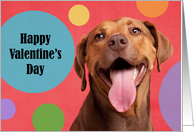 Happy Valentine’s Day Cute Smiling Dog card