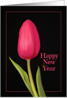 Happy New Year For Anyone Beautiful Red Tulip card