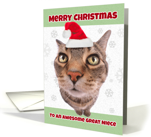 Merry Christmas Great Niece Cute Cat in Santa Hat card (1589854)