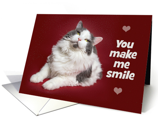 Happy Valentine's Day For Anyone Cute Smiling Cat card (1589882)