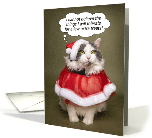 Merry Christmas Funny Cat Dressed in Santa Clothes Humor card
