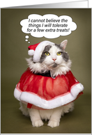 Merry Christmas Funny Cat Dressed in Santa Clothes Humor card