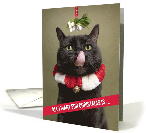 Merry Christmas Funny Cat Under Mistletoe with Tongue Out Humor card