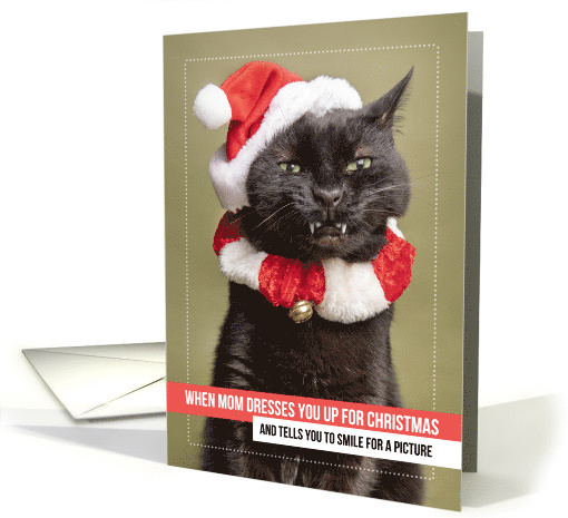 Merry Christmas For Anyone Cat in Santa Hat Making Funny... (1590992)