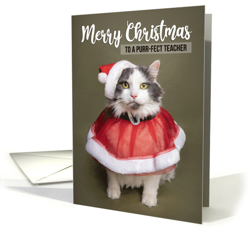 Merry Christmas Teacher Cute Cat in Santa Costume Humor card (1591234)