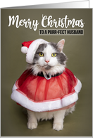 Merry Christmas Husband Cute Cat in Santa Costume Humor card