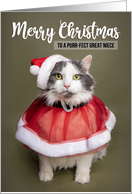 Merry Christmas Great Niece Cute Cat in Santa Costume Humor card