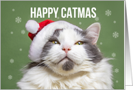 Happy Catmas Merry Christmas for Anyone Cat in Santa Hat Smiling Humor card