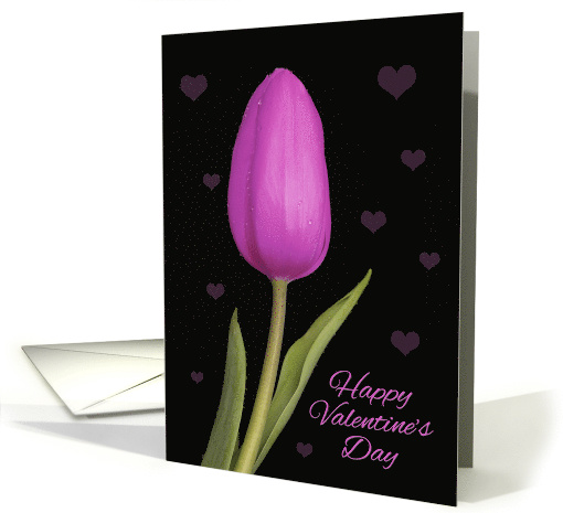 Happy Valentine's Day For Anyone Pretty Purple Tulip Photograph card