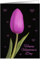 Happy Valentine’s Day For Anyone Pretty Purple Tulip Photograph card