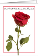 Happy Valentine’s Day Red Rose First Valentine’s Day Together card