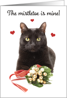 Merry Christmas For Anyone Cat With Mistletoe Humor card