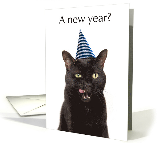 Happy New Year For Anyone Cute Cat in Party Hat card (1592654)