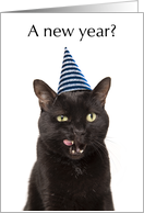 Happy New Year For Anyone Cute Cat in Party Hat card