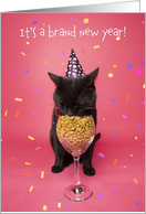 Happy New Year For Anyone Funny Cat Eating From Wine Glass Humor card