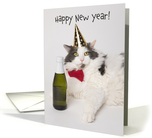 Happy New Year For Anyone Funny Cat In Party Hat With Champagne card