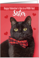 Happy Valentine’s Day Sister Cute Cat in Bow Tie Humor card