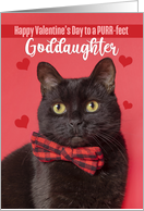 Happy Valentine’s Day Goddaughter Cute Cat in Bow Tie Humor card