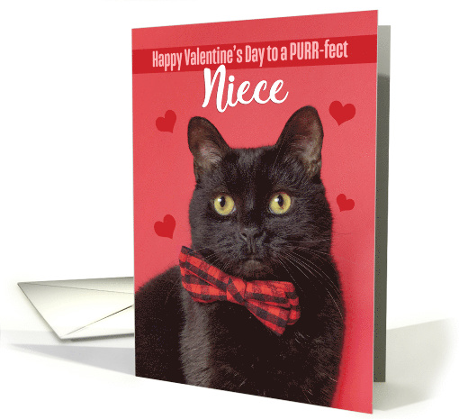 Happy Valentine's Day Niece Cute Cat in Bow Tie Humor card (1593464)