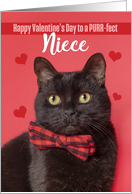 Happy Valentine’s Day Niece Cute Cat in Bow Tie Humor card