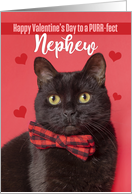 Happy Valentine’s Day Nephew Cute Cat in Bow Tie Humor card