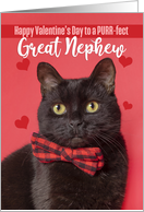 Happy Valentine’s Day Great Nephew Cute Cat in Bow Tie Humor card