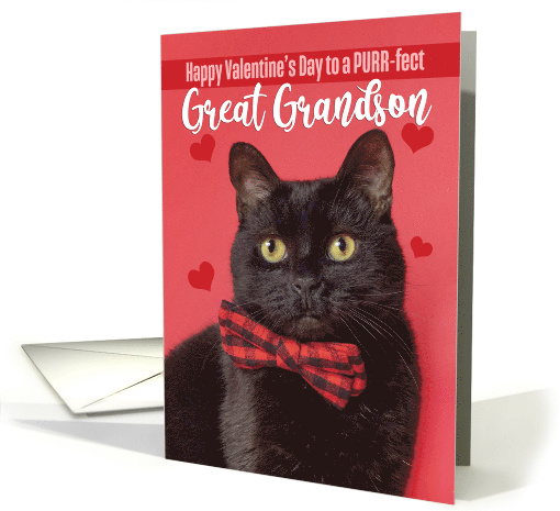 Happy Valentine's Day Great Grandson Cute Cat in Bow Tie Humor card