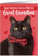 Happy Valentine’s Day Great Grandson Cute Cat in Bow Tie Humor card
