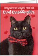 Happy Valentine’s Day Great Granddaughter Cute Cat in Bow Tie Humor card