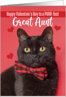 Happy Valentine’s Day Great Aunt Cute Cat in Bow Tie Humor card