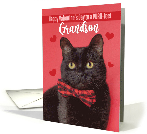 Happy Valentine's Day Grandson Cute Cat in Bow Tie Humor card