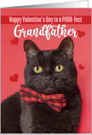 Happy Valentine’s Day Grandfather Cute Cat in Bow Tie Humor card