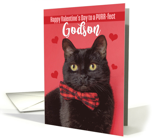 Happy Valentine's Day Godson Cute Cat in Bow Tie Humor card (1593582)
