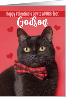 Happy Valentine’s Day Godson Cute Cat in Bow Tie Humor card