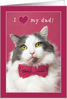 Happy Valentine’s Day Dad Cute Cat in Pink Bow Tie Humor card