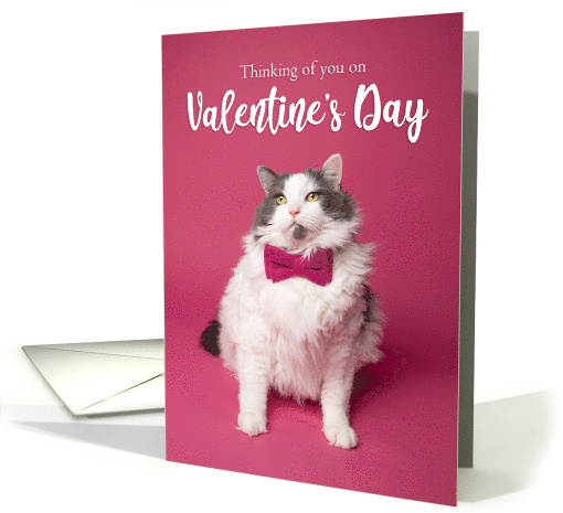 Happy Valentine's Day Thinking of You Cute Cat in Pink... (1593744)