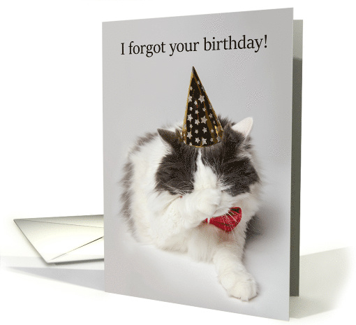 Happy Belated Birthday Embarrassed Cat in Party Hat For... (1593812)