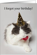 Happy Belated Birthday Embarrassed Cat in Party Hat For Anyone Humor card