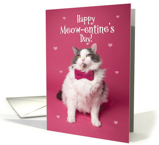 Happy Meow-entine's Day Cute Cat on Pink Valentine's Day Humor card