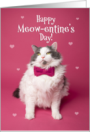 Happy Meow-entine’s Day Cute Cat on Pink Valentine’s Day Humor card