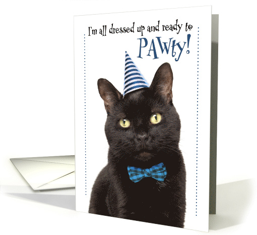 Happy Birthday For Anyone Cute Cat in Party Hat Humor card (1594240)