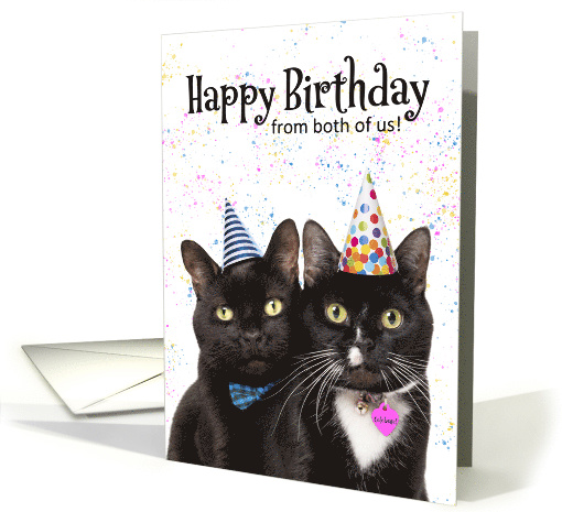 Happy Birthday From Both of Us Cats in Party Hat Humor card (1594520)