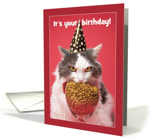Happy Birthday For Anyone Cat in Party Hat Eating Humor card (1594534)