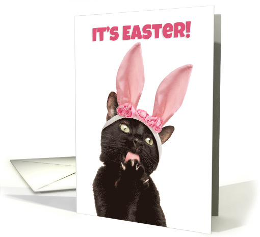 Happy Easter For Anyone Funny Cat in Bunny Ears Humor card (1594612)