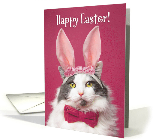 Happy Easter For Anyone Funny Cat in Bunny Ears and Bow Tie Humor card