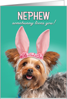 Happy Easter Nephew Cute Yorkie Dog in Bunny Ears Humor card